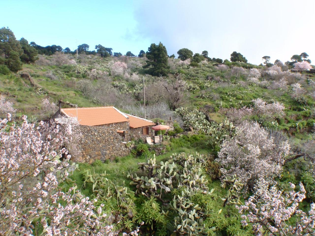 Casa Rural La Jarita El Pinar  Luaran gambar